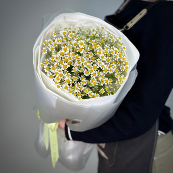 Букет из 9 ромашки