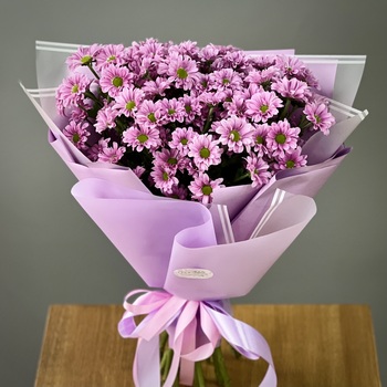 Букет из 11 фиолетовых хризантем сантини