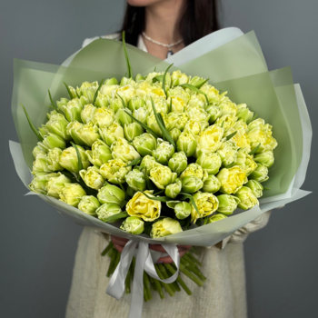 Букет из 101 светлых пионовидных тюльпанов