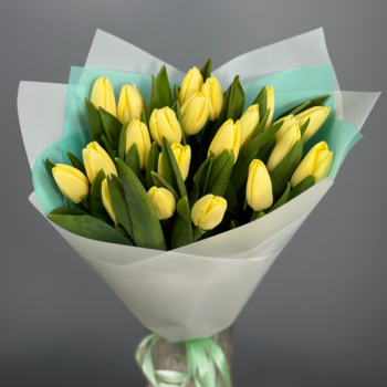 Букет из 21 кремовых тюльпанов