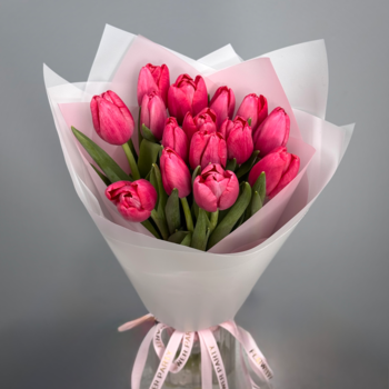 Букет из 15 малиновых тюльпанов